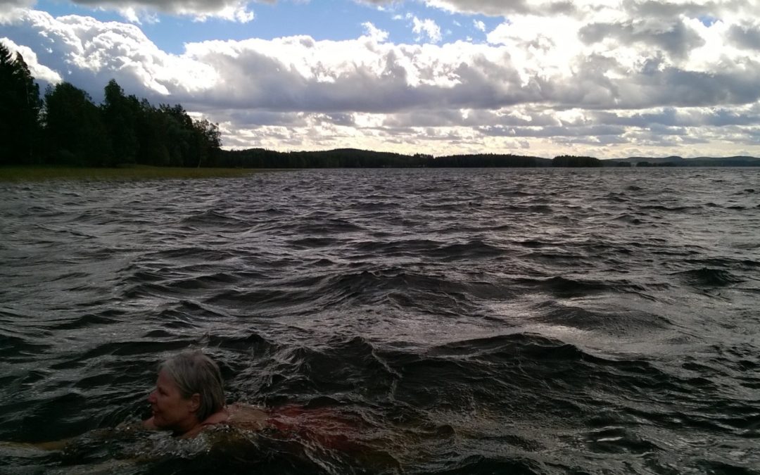 Jämsäläisjärvien kesä